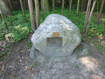 Gedenkstein im Wald mit verwaschener Inschrift, umgeben von Bäumen und niedrigem Pflanzenbewuchs.