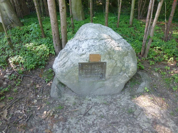 Gedenkstein im Wald mit verwaschener Inschrift, umgeben von Bäumen und niedrigem Pflanzenbewuchs.
