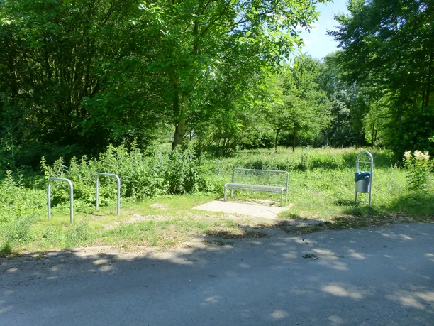 Eine Bank auf einem schattigen Platz am Waldrand, umgeben von dichtem Grün und einem Fahrradständer.