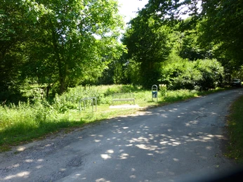Parkbank neben einem ruhigen Weg, umgeben von dichter, grüner Vegetation und Bäumen.