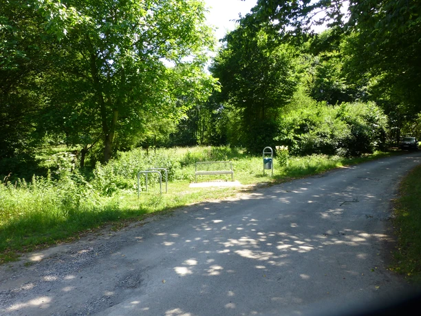 P1120765.JPG Parkbank neben einem ruhigen Weg, umgeben von dichter, grüner Vegetation und Bäumen.