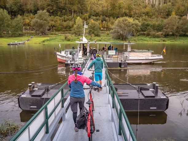 Eine Familie mit Fahrrädern nutzt die Fähre Schmilka Zwei Personen mit Fahrrädern betreten eine Fähre auf einem Fluss, umgeben von grüner Landschaft und Bäumen.