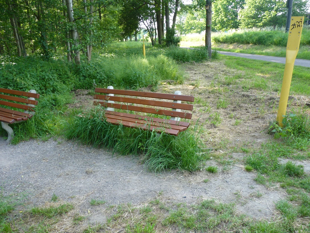 Zwei Holzbänke stehen auf einem Kiesweg, umgeben von grüner Vegetation und Bäumen im Sommer.