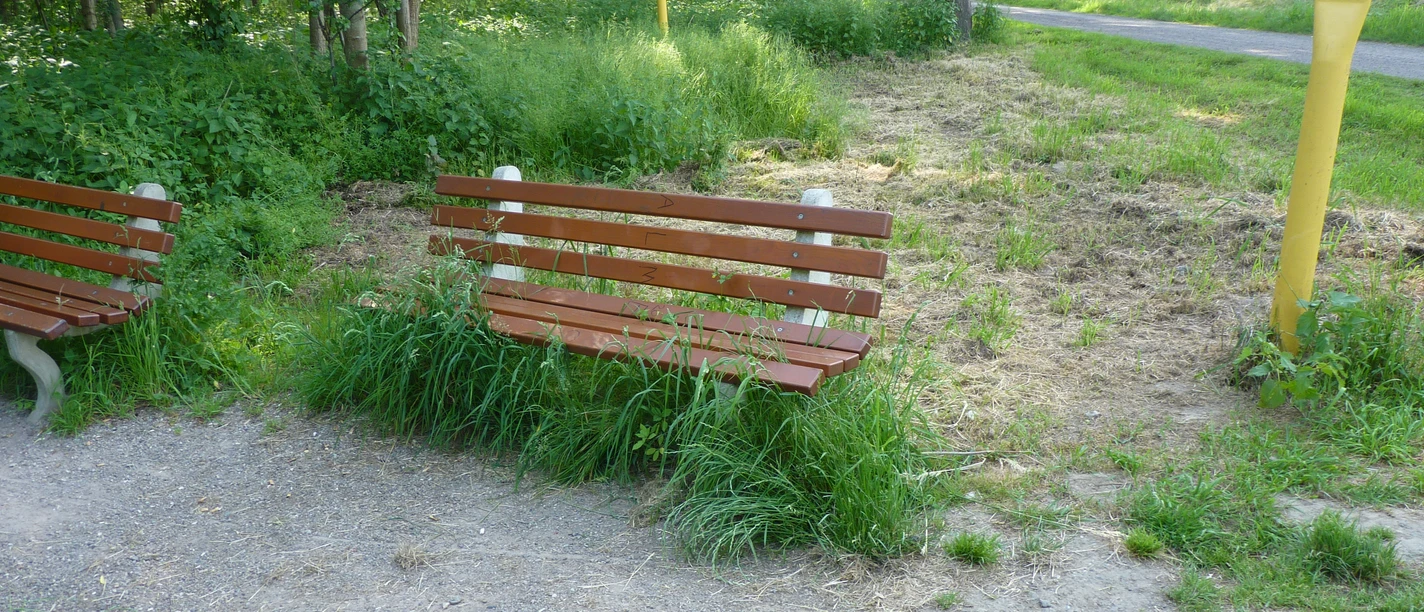 P1100968.JPG Zwei Holzbänke stehen auf einem Kiesweg, umgeben von grüner Vegetation und Bäumen im Sommer.