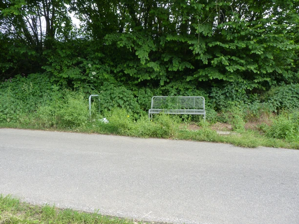 Metallbank an einem ruhigen Weg, umgeben von üppigem Grün und hohen Bäumen im Hintergrund.