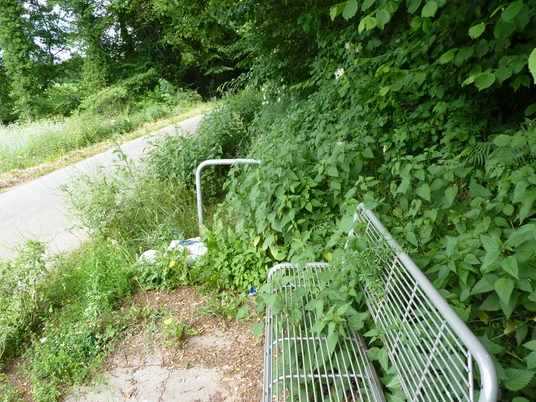 Eine Metallbank steht neben einer Straße, umgeben von üppigem Grün und wilden Pflanzen.