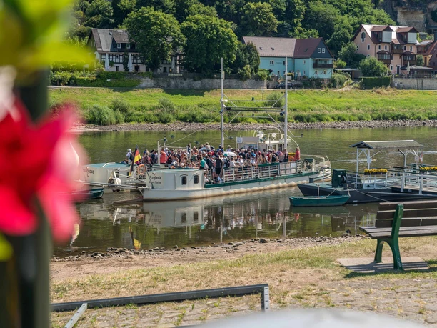 Veerboot Kurort Rathen Een volledig bezette excursieboot op een rivier, omringd door een groen landschap en vakwerkhuizen; een vage rode bloem op de voorgrond.