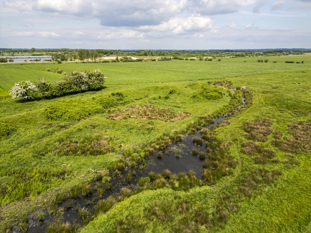 Marschlandschaft am Mühlenpott Marschlandschaft am Mühlenpott