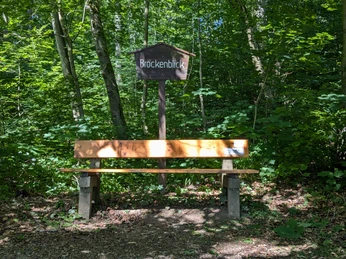 Burgweg mit Brockenblick Holzbank im Wald mit einem kleinen Schild „Brockenblick“, umgeben von grünem Laub und Sonnenlicht.