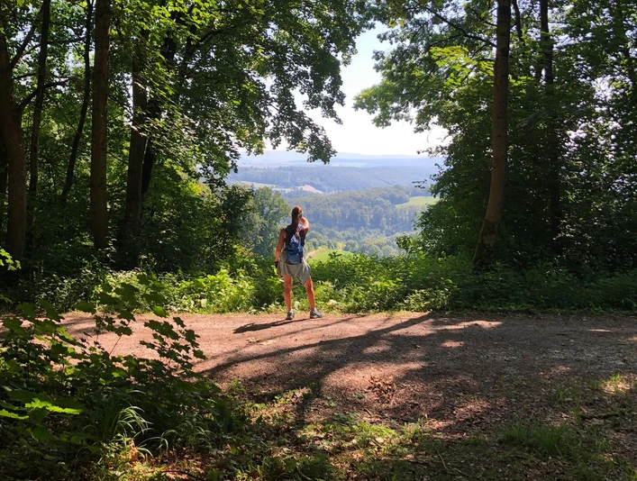 Burgweg mit Brockenblick Eine Wanderin steht auf einem Waldweg und blickt über das grüne Tal zum Brocken in der Ferne.