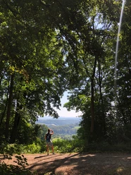 Burgweg in Einbeck Eine Wanderin blickt vom Waldweg durch Bäume auf eine weite, grüne Landschaft.