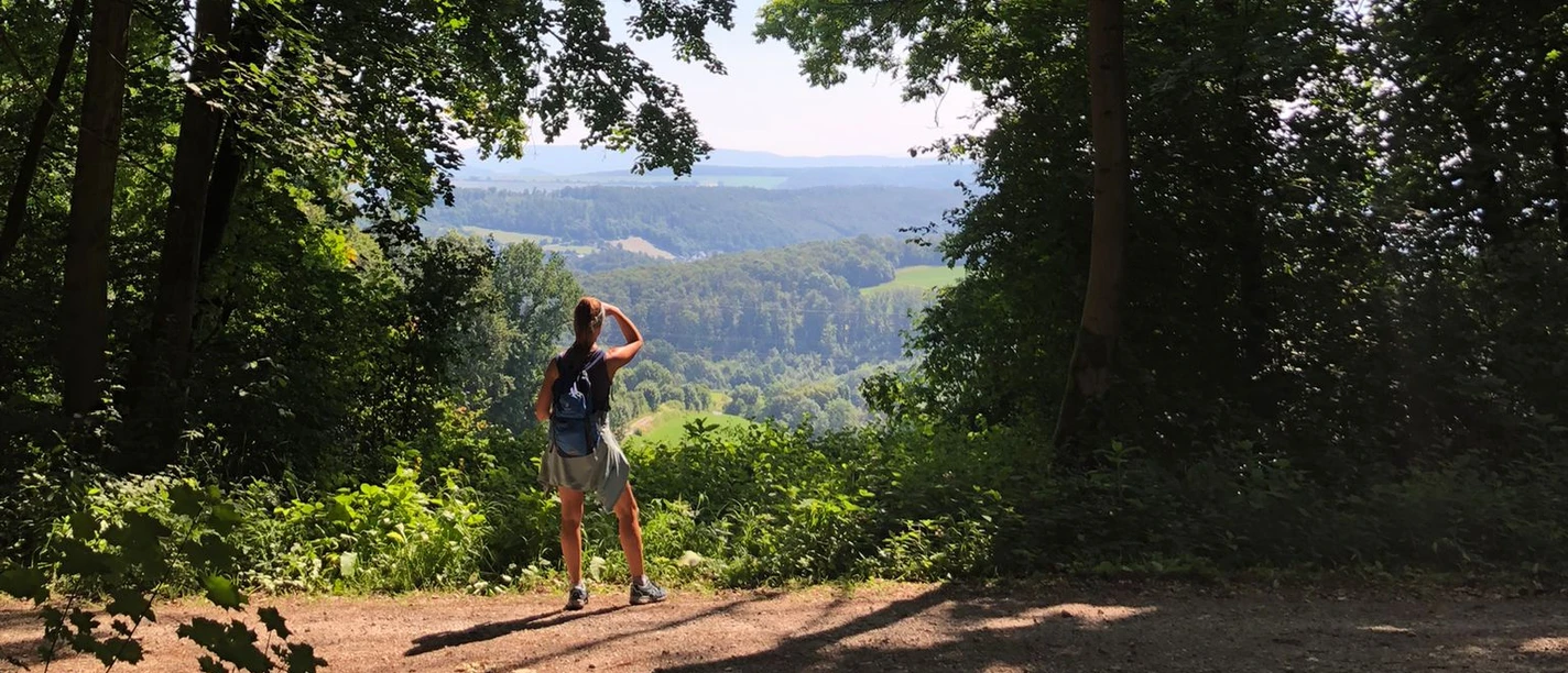 A hiker looks out from a forest path through trees onto a wide, green landscape.
