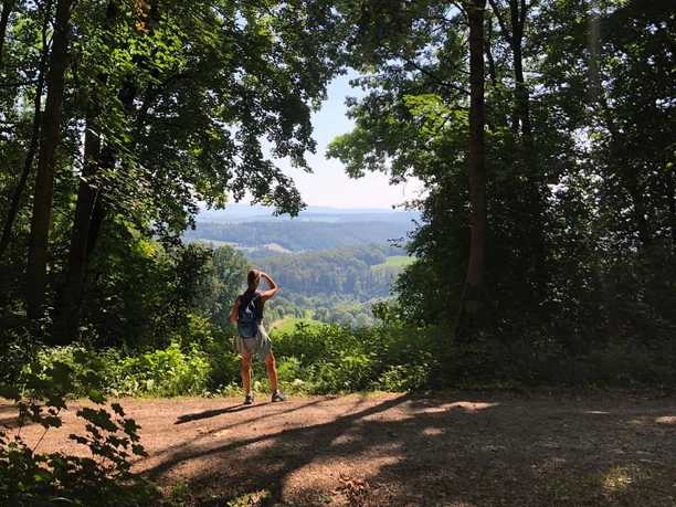 Burgweg in Einbeck Eine Wanderin blickt vom Waldweg durch Bäume auf eine weite, grüne Landschaft.