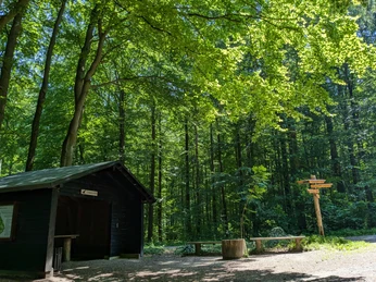 Burgweg Hube Schwarze Holzhütte im grünen Stadtwald Hube bei Einbeck mit Sitzbank und Wegweisern im Sonnenschein.