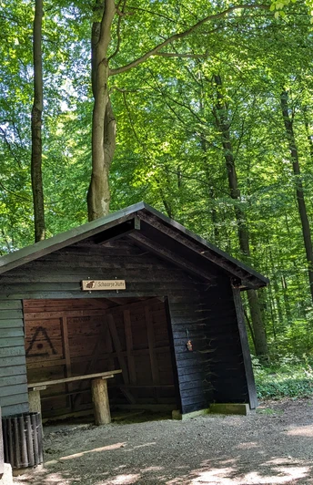 Burgweg-Hube - Schwarze Hütte Holzhütte mit Satteldach und Rastbank im grünen Laubwald am Burgweg in der Hube bei Einbeck
