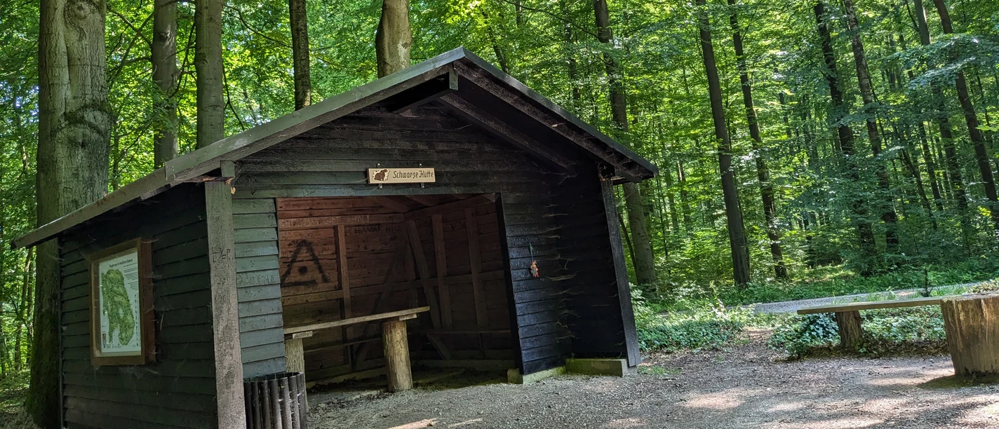 Wooden hut with gabled roof and bench in the green deciduous forest on the Burgweg in the Hube near Einbeck