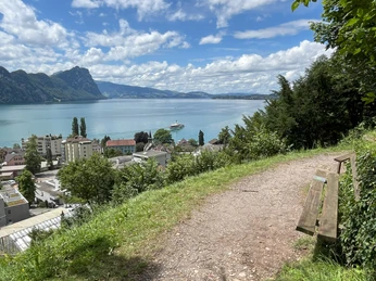 Plattenbänkli Vitznau mit Dampfschiff.jpg