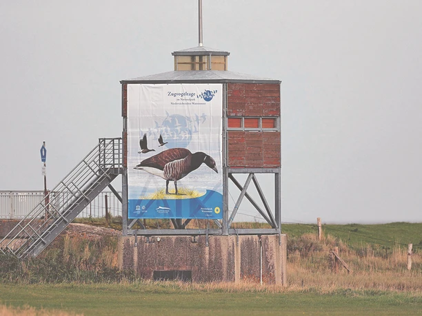 Vogelturm_Nessmersiel_NLPV_Onno_K_Gent_1290.jpg
