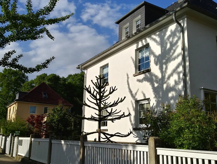 Haus im Schattenspiel