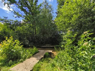 Ein schmaler Steg aus Betonplatten führt über einen kleinen Bach, umgeben von dichter Vegetation.