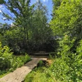 Ein schmaler Steg aus Betonplatten führt über einen kleinen Bach, umgeben von dichter Vegetation.