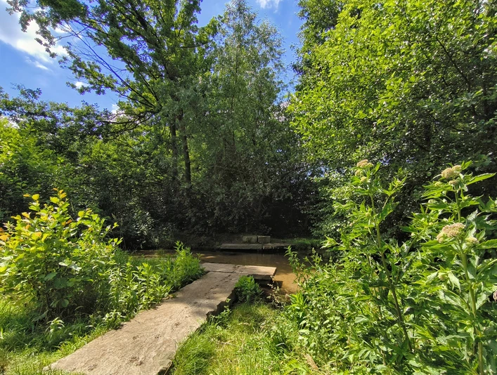 Ein schmaler Steg aus Betonplatten führt über einen kleinen Bach, umgeben von dichter Vegetation.