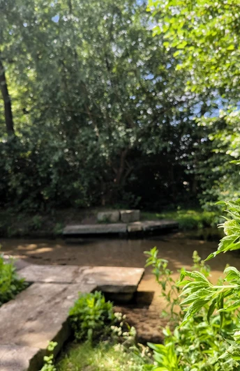 Krollbach-Bifurkation Hövelhof Eine natürliche Bachverzweigung mit Holzsteg und umgebender grüner Vegetation im Sonnenlicht.
