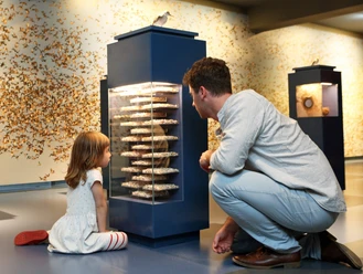 2022-08 Neue Ausstellung (249).JPG
