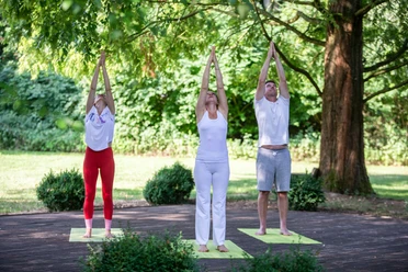 Sport im Park Drei Personen praktizieren Yoga im Freien auf einer Holzbühne, umgeben von Bäumen im Park.