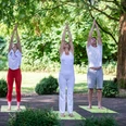 Sport im Park Drei Personen praktizieren Yoga im Freien auf einer Holzbühne, umgeben von Bäumen im Park.
