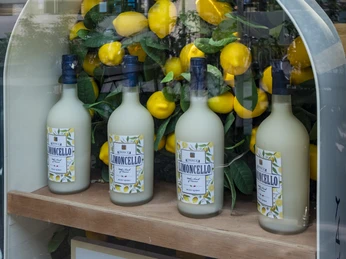 The Eat Ein stilvolles Schaufenster mit vier Limoncello-Flaschen im Vordergrund, dekoriert mit zahlreichen gelben Zitronen als Hintergrund.A stylish storefront display featuring four limoncello bottles prominently arranged in the foreground, decorated with numerous yellow lemons as a backdrop.