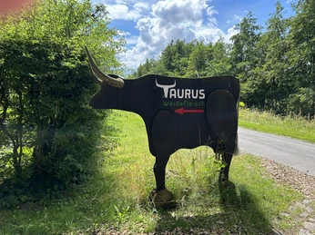 Taurus Weidefleisch ©Emsland Tourismus GmbH