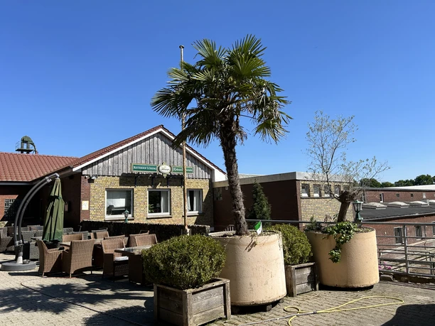 Reiterhof Lüssing ©Emsland Tourismus GmbH Sonnige Terrasse mit Palmen und Sitzplätzen vor dem Reiterhof Lüssing im Emsland.