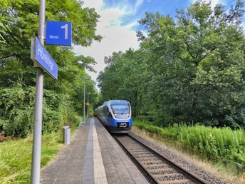 Bahnhof Hövelriege Ein moderner Zug fährt entlang eines von üppigem Grün umgebenen Bahnsteigs in Hövelriege.