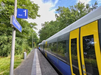 Ein Zug hält am grünen Bahnhof Hövelriege, umgeben von dichten, sommerlichen Bäumen.