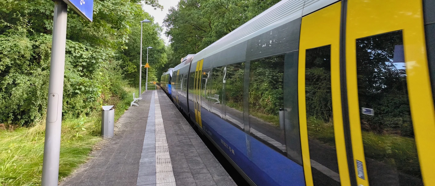 Bahnhof Hövelriege Ein Zug hält am grünen Bahnhof Hövelriege, umgeben von dichten, sommerlichen Bäumen.