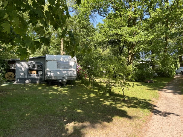Campingplatz Zur Emsbrücke ©Emsland Tourismus GmbH (4).jpeg Wohnwagen mit Vorzelt unter hohen Bäumen auf sonnigem Campingplatz mit Wiese und Waldweg
