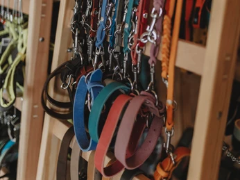 Vielfältiges Angebot