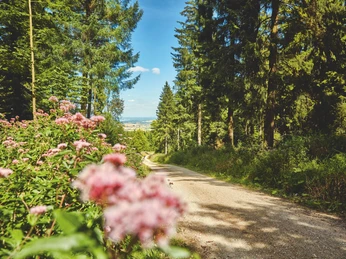 Überschrift ÜberschriftHeadingOverskriftRubriek