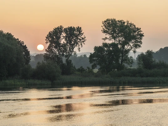 Solopgang på Elben i Stove Sonnenaufgang an der Elbe in StoveSunrise on the Elbe in StoveLever de soleil sur l'Elbe à StoveZonsopgang op de Elbe in StoveSolopgang på Elben i Stove