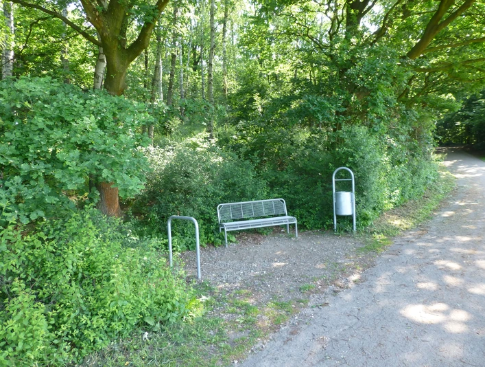 Eine Parkbank neben Bäumen und Büschen, mit einem Mülleimer, steht an einem Spazierweg im Grünen.