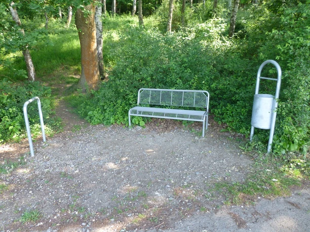 Eine ruhige Sitzbank in einem Waldstück, umgeben von heimischen Bäumen und dichter Vegetation.