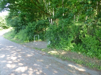 Ein schattiger Waldweg mit unbefestigten Pfaden, gesäumt von dichtem Laubwerk und hohen Bäumen.