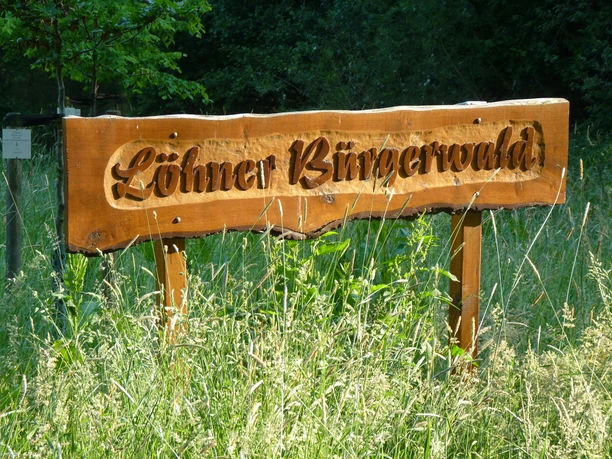 Holzschild mit der Aufschrift "Löhner Bürgerwald", umgeben von hohem Gras und Bäumen im Hintergrund.