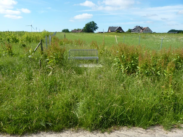P1110047.JPG Eine einsame Bank steht inmitten einer üppigen Wiese, umgeben von hohem Gras und flachem Ackerland.