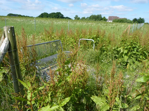 Metallbank inmitten von überwucherten Pflanzen, umgeben von Weidezaun und grünen Feldern unter blauem Himmel.