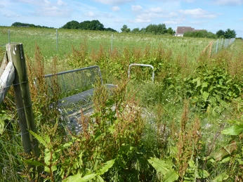 P1110050.JPG Metallbank inmitten von überwucherten Pflanzen, umgeben von Weidezaun und grünen Feldern unter blauem Himmel.