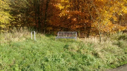 Eine einsame Parkbank steht in einem herbstlichen Wald mit leuchtend orangefarbenen Blättern.