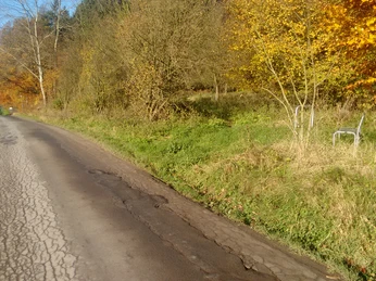 Asphaltierter Feldweg mit herbstlich gefärbten Bäumen und zwei leeren Stühlen am Straßenrand.