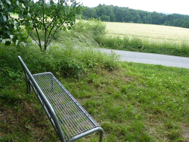 Metallbank am Rande einer grünen Wiese, mit Blick auf einen schmalen Feldweg und dichten Wald.